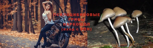мет Балабаново